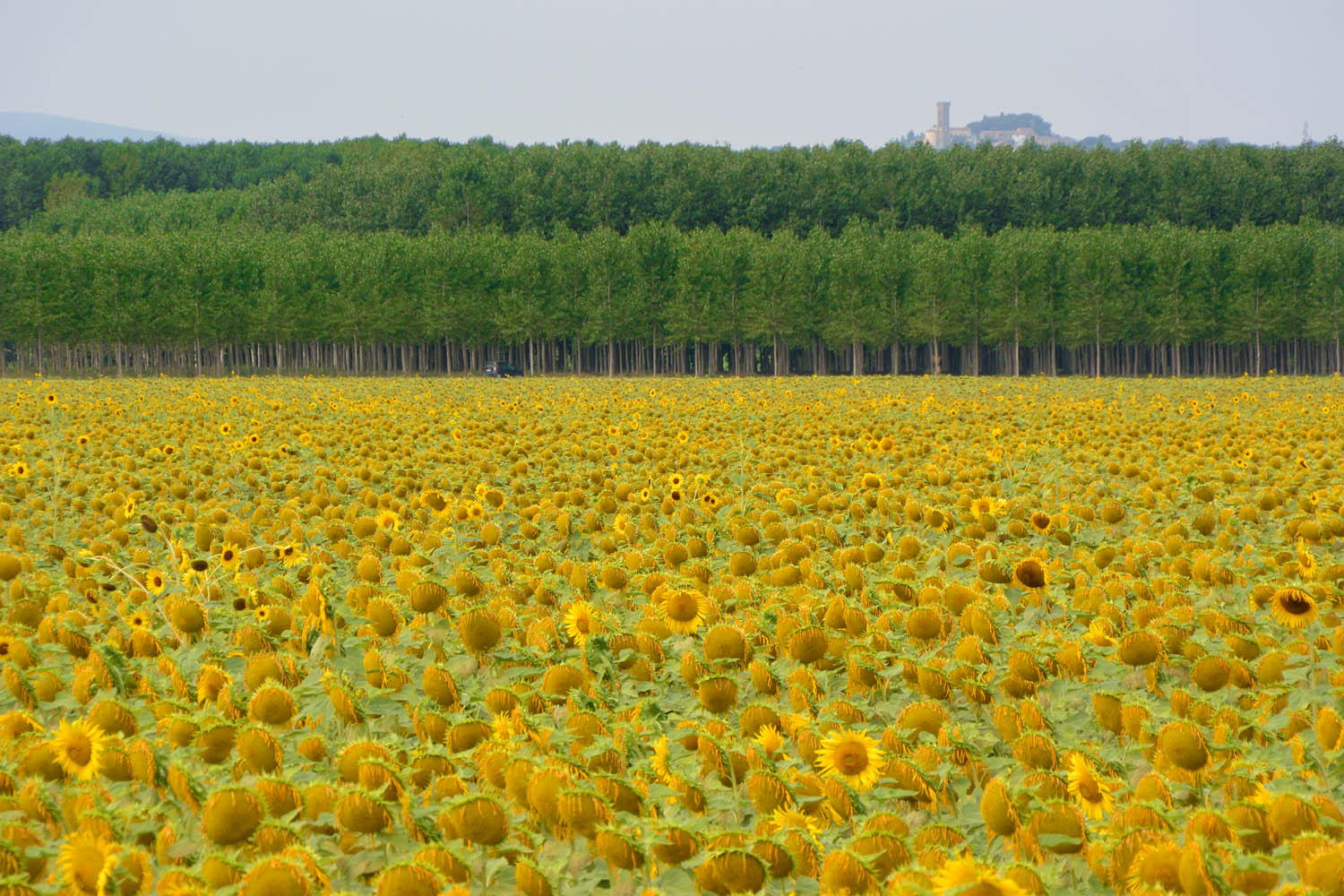 Tuscany 07