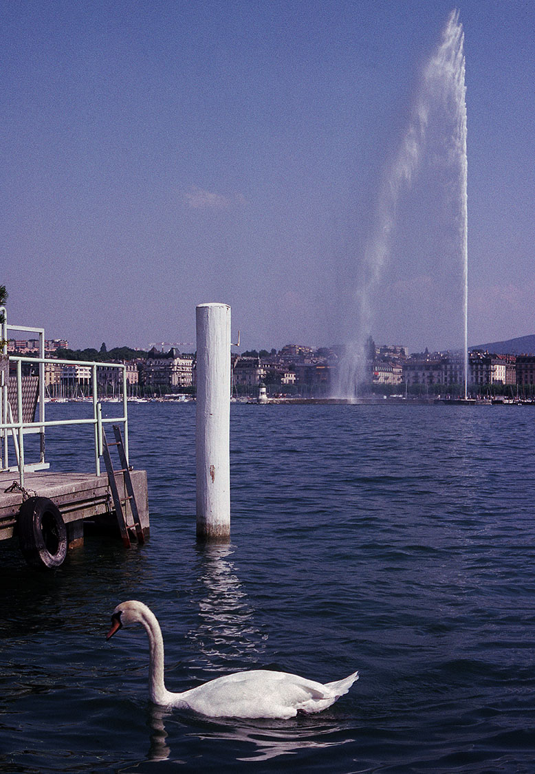 Geneva 09