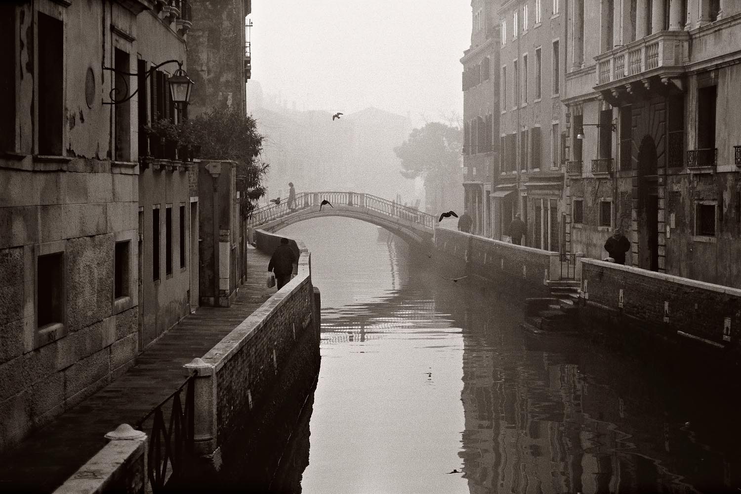 Venice B&W 03