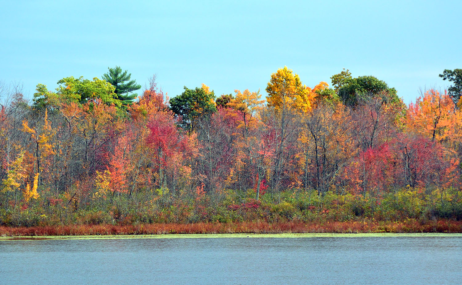 Hudson Valley, 11