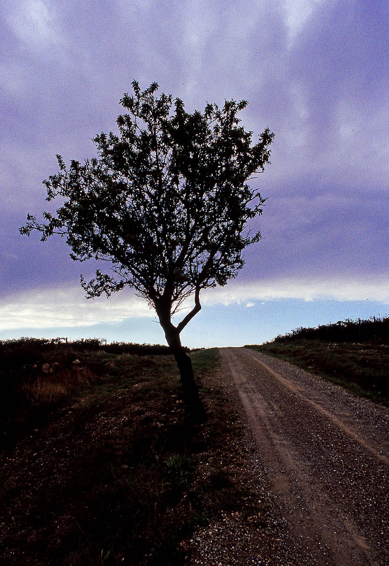 Tuscany 22