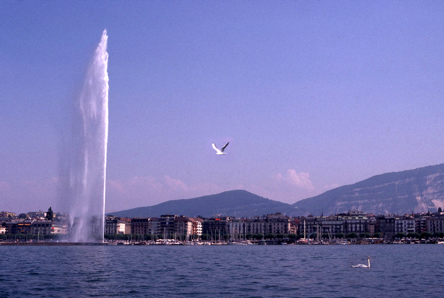 Geneva 06