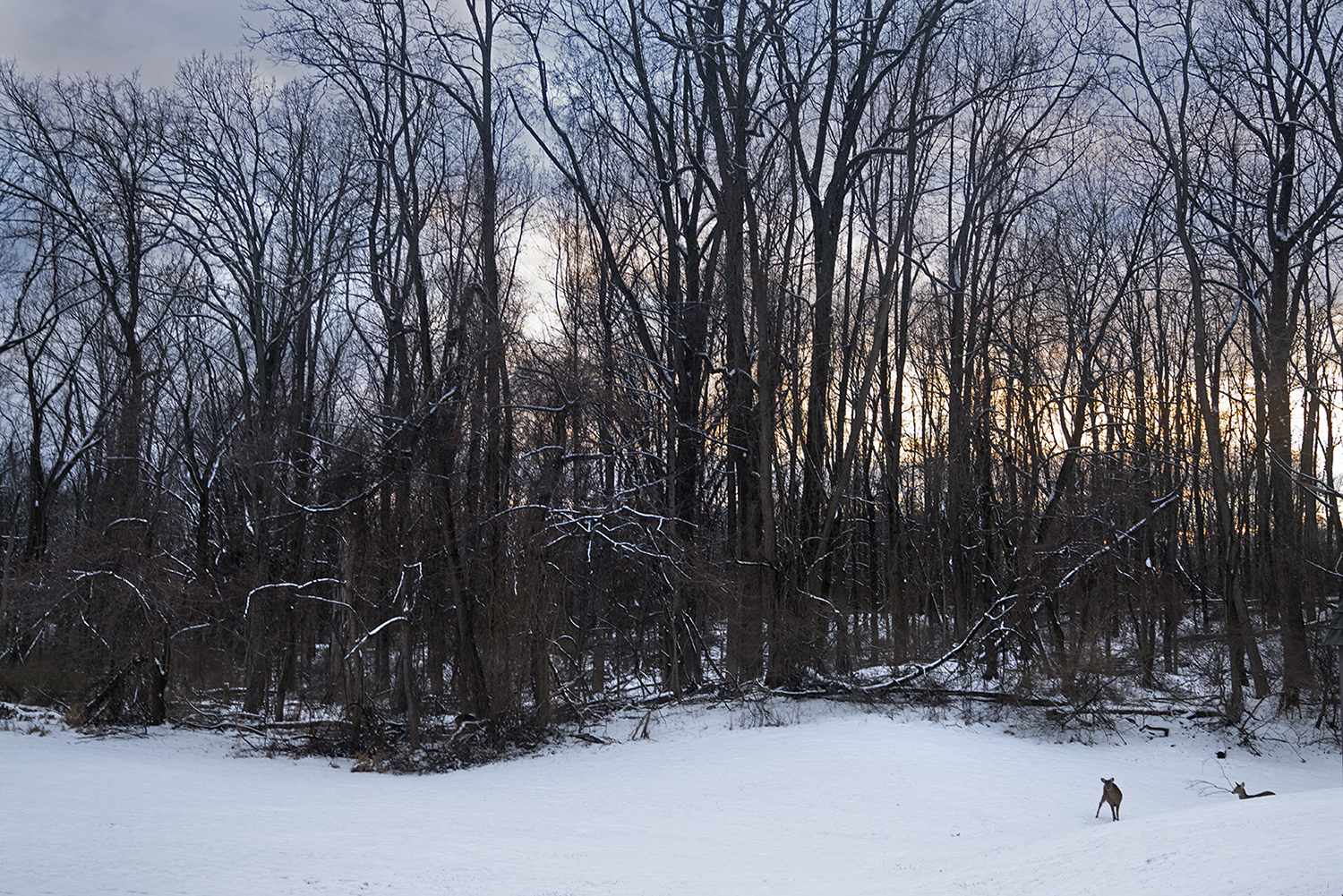 Hudson Valley, 56