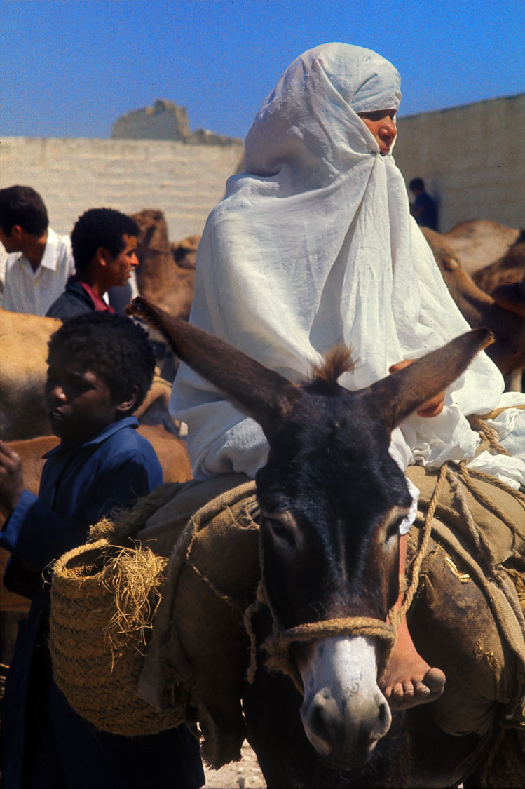 Tunisia 09