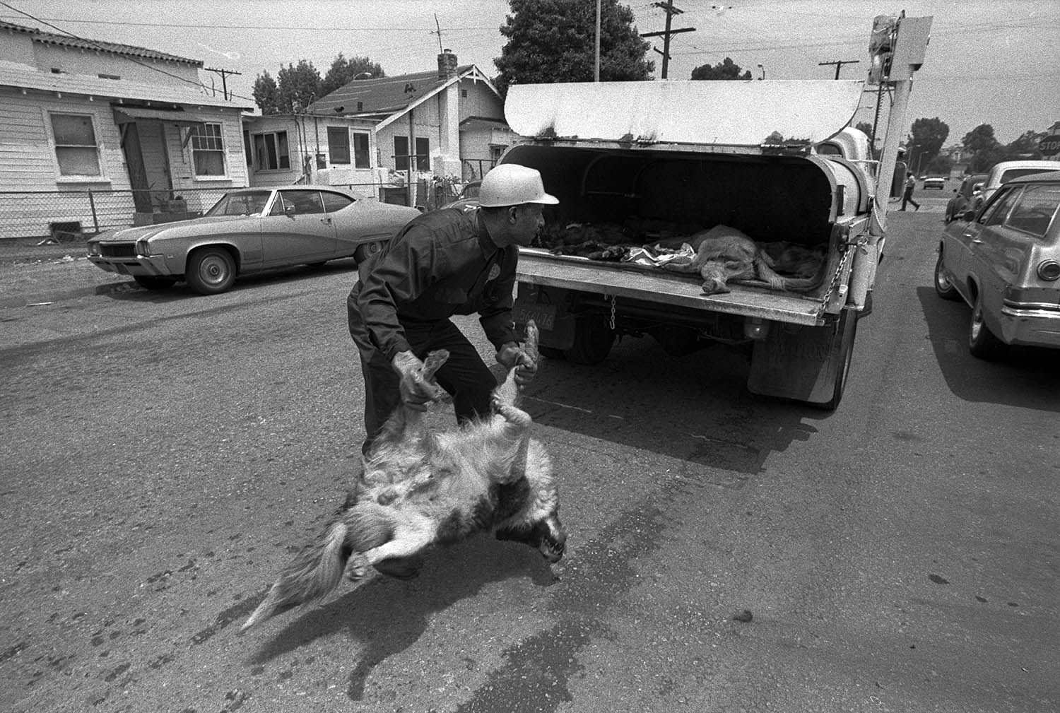 SLA House in Compton, 1974 #22