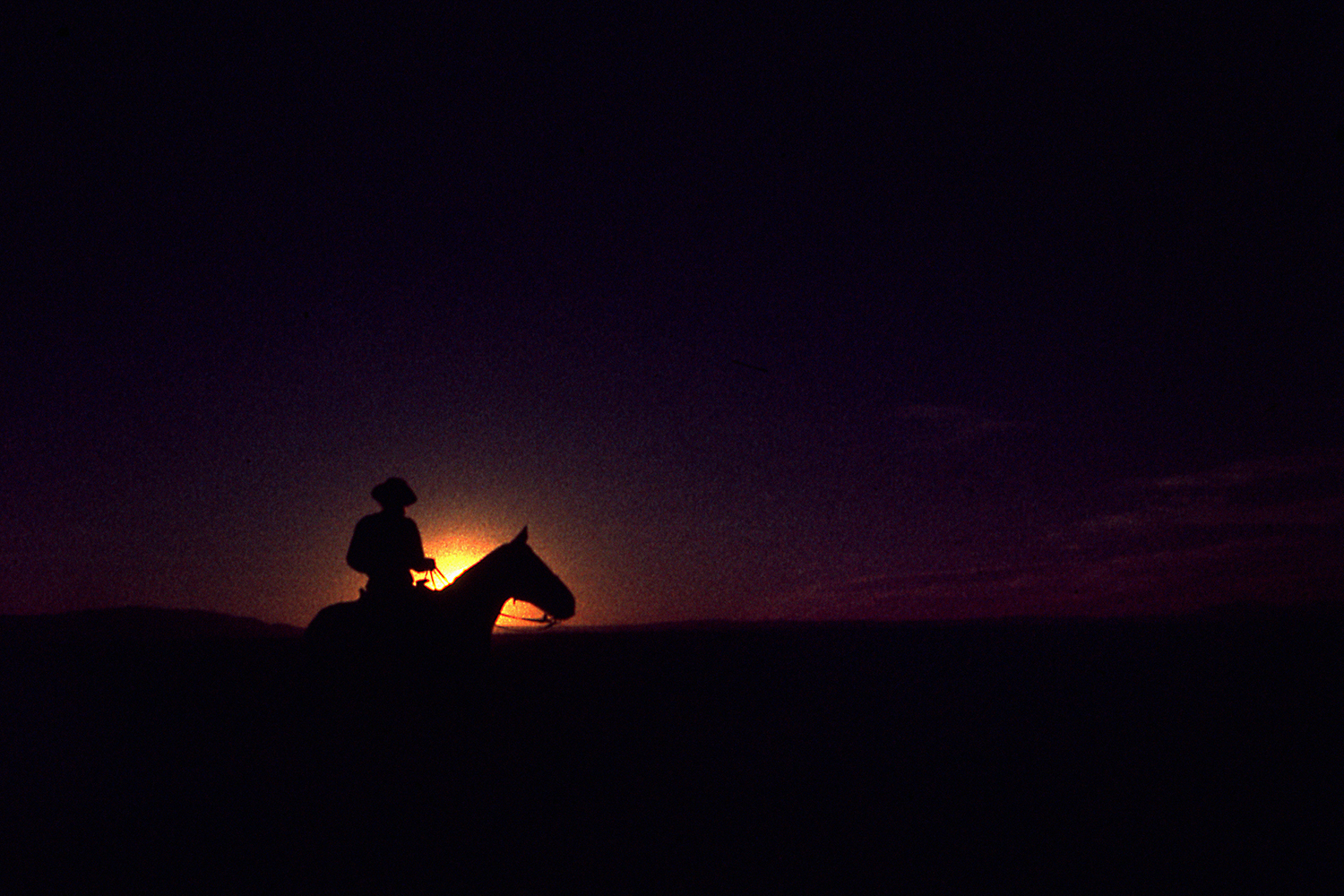 Cowboy on Horizon