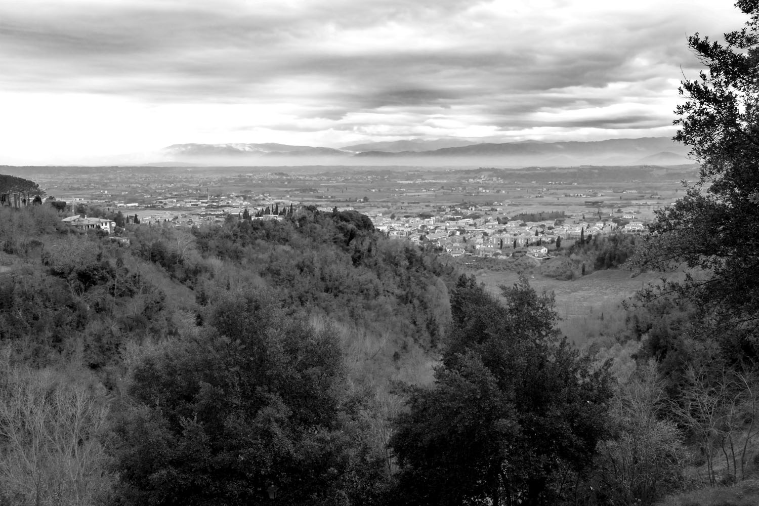 Tuscany Winter B&W 07