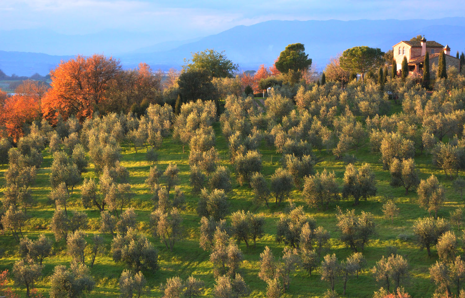 Tuscany Winter 16