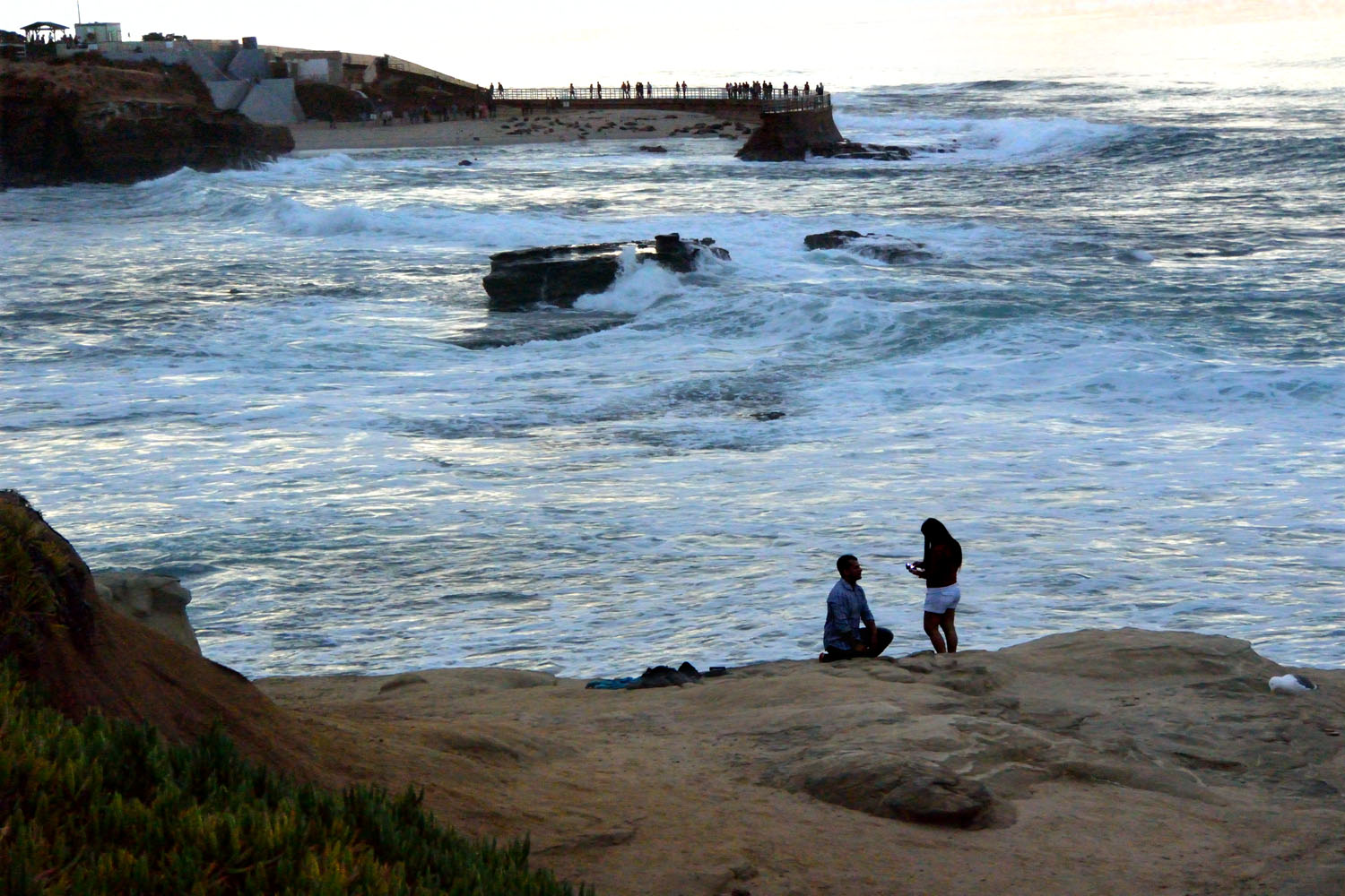 La Jolla 10