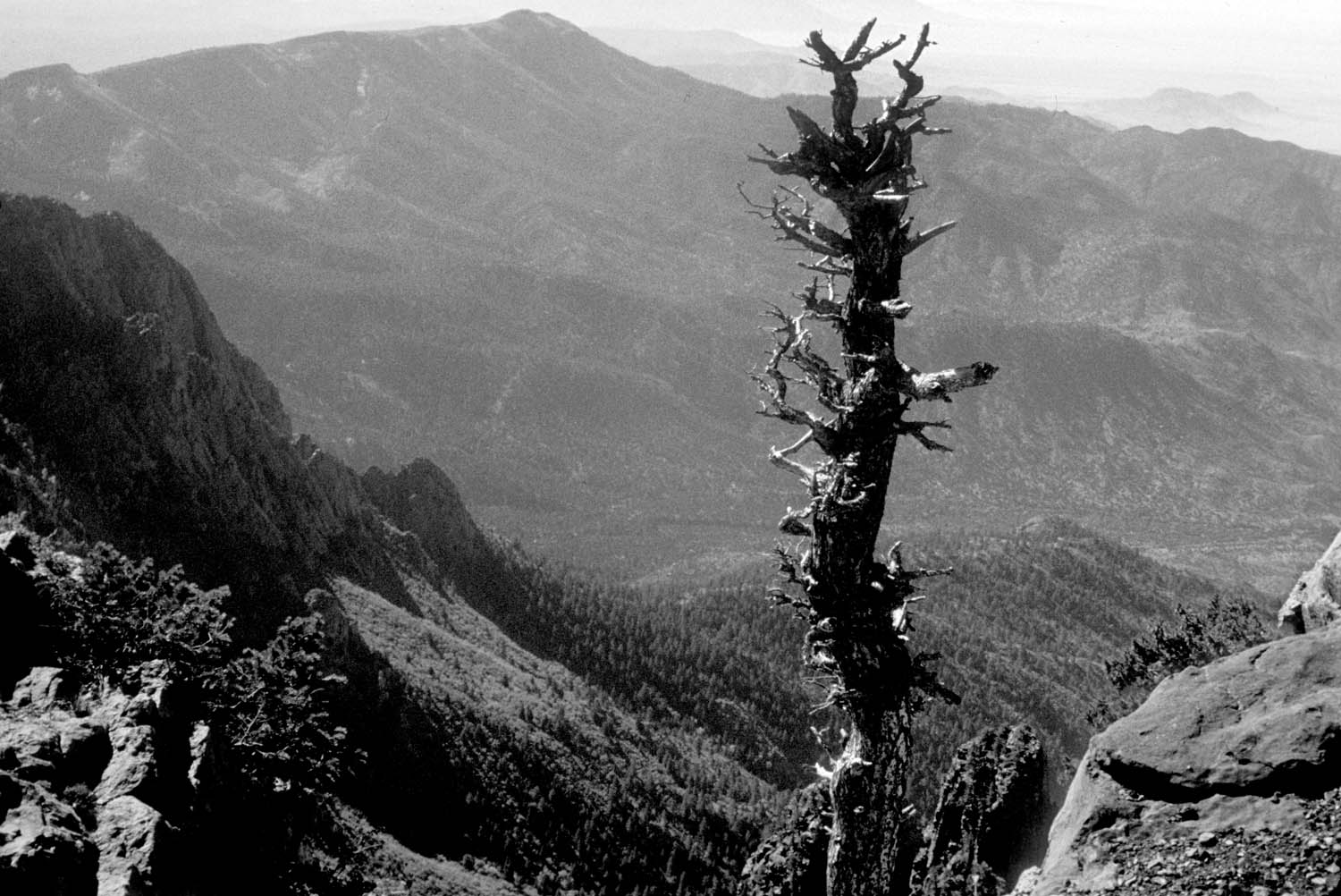 Jimez Mountains, NM