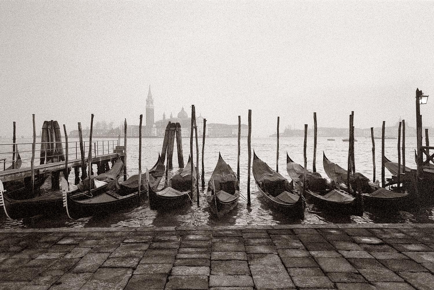 Venice B&W 19