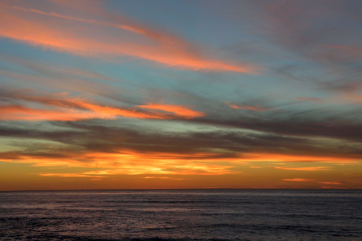 La Jolla 05